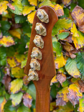 Load image into Gallery viewer, 1976 Gibson Firebird Bicentennial