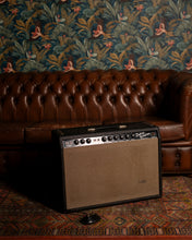 Load image into Gallery viewer, 1964 Fender Deluxe reverb
