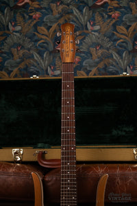1965 Danelectro Guitarlin
