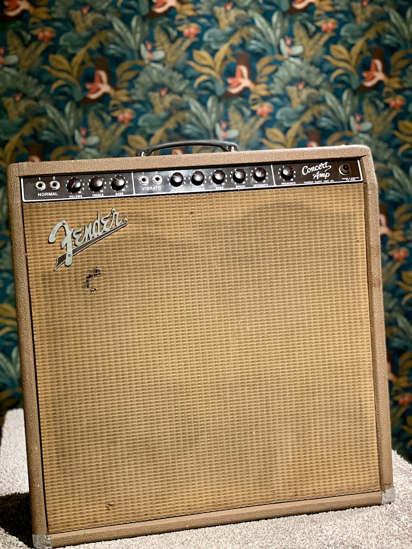 1962 Fender Concert amp